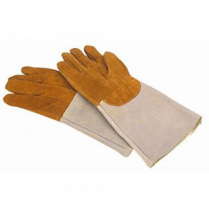 GANTS